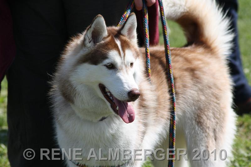 Bild 342.jpg